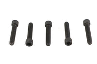 HARLEY 1/4 inch-20 x 1-1/4 inch Allen Socket Cap Screw Black Fits 0-  All, models