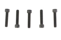 HARLEY 1/4 inch-20 x 1-1/4 inch Allen Socket Cap Screw Black Fits 0-  All, models