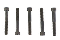 HARLEY 5/16-18 X 2-1/2 inch Allen Socket Cap Screw Black Fits 0-  All, models