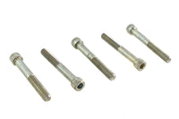 HARLEY 1/4 inch-28 x 2 inch Allen Socket Cap Screw Stainless Steel Fits 0-  All, models