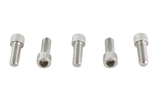 HARLEY 3/8 inch-24 x 1 inch Allen Socket Cap Screw Stainless Steel Fits 0-  All, models