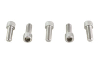 HARLEY 3/8 inch-24 x 1 inch Allen Socket Cap Screw Stainless Steel Fits 0-  All, models