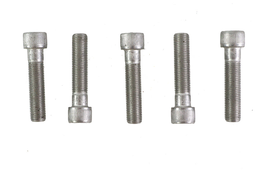 HARLEY 3/8 inch-24 x 1-3/4 inch Allen Socket Cap Screw Stainless St Fits 0-  All, models