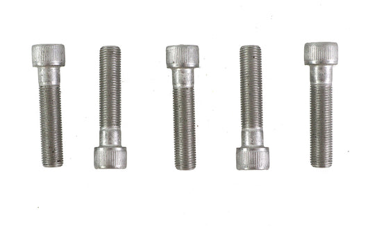 HARLEY 3/8 inch-24 x 1-3/4 inch Allen Socket Cap Screw Stainless St Fits 0-  All, models