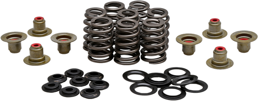 HARLEY KPMI BEEHIVE VALVE SPRING KIT .550 LIFT  M8`17-24 NON VVT  20-21215