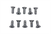HARLEY Chrome Allen Type Disc Screw Fits 1978-1982 FX,   1978-1982 XL,