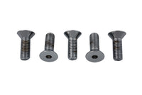 HARLEY Disc Bolt Kit Chrome Fits 1980-1981 FL, Front 1980-1981 FLT, Front and Rear 1980-1981 FL, Fro