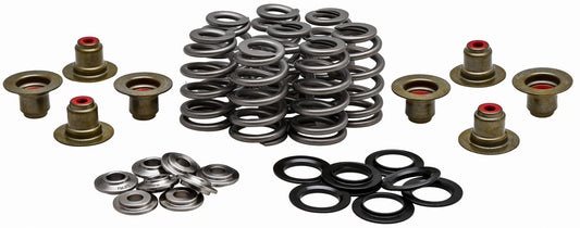HARLEY KPMI RACING VALVE SPRING KIT .625 LIFT TITANIUM RETAINERS  20-21800
