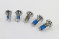 HARLEY Chrome Rear Brake Disc Bolts Fits 1992-2017 FXD,   1992-UP FXST,   1992-UP FLT,   1992-UP XL,