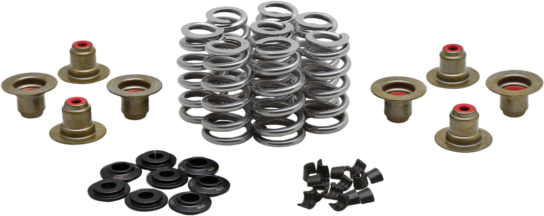 HARLEY KPMI BEEHIVE VALVE SPRING KIT .640 LIFT  M8`17-24 NON VVT  20-24400