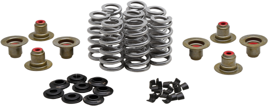 HARLEY KPMI BEEHIVE VALVE SPRING KIT .640 LIFT  M8`17-24 NON VVT  20-24400
